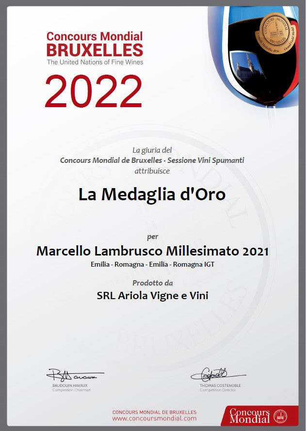 MARCELLO MILLESIMATO - The Best Awarded Red Sparkling Wine in the World 0,75 l